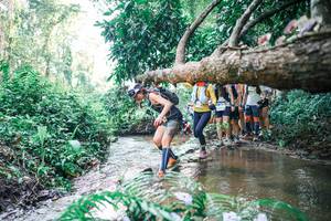 BIB: 
                            <button type="button" onclick="openModal(25467324)" class="btn btn-primary btn-sm float-right btn-popup" data-toggle="modal" data-target=".modal-high-quality">
                        <i class="fas fa-shopping-cart"></i> Add to Cart
                    </button>
                                            <button type="button" onclick="isThisMe(25467324, true)" class="btn btn-success btn-sm float-right btn-popup btn-isme hidden" data-toggle="tooltip" data-placement="bottom" title="นี่คือรูปของคุณใช่ไหม คลิกที่นี่เพื่อเอาเข้าอัลบั้ม">
                        <i class="fas fa-plus"></i> Add to album
                    </button>
                    <button type="button" onclick="isThisMe(25467324, false)" class="btn btn-warning btn-sm float-right btn-popup btn-isnotme hidden">
                        <i class="fas fa-ban"></i> Remove from album
                    </button>